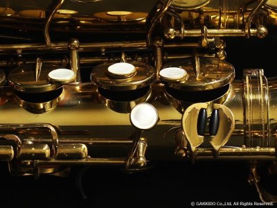 画像19: A.SELMER　Mark VI　Alto Sax　Serial No：188XXX　【Vintage】