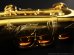 画像20: A.SELMER　Mk VI　Alto Sax　1974年製　Serial No：228XXX　【Vintage】