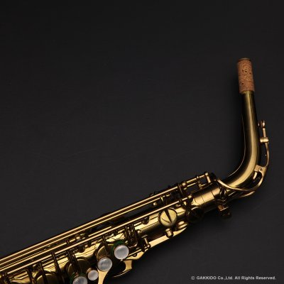 画像11: A.SELMER　Mark VII　Alto Sax　Serial No：277XXX　【Vintage】