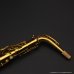 画像15: A.SELMER　Super Balanced Action　Alto Sax　Serial No：35XXX　【Vintage】 (15)