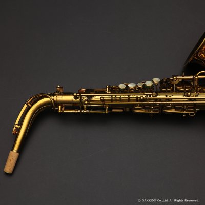画像18: A.SELMER　Super Balanced Action　Alto Sax　Serial No：35XXX　【Vintage】