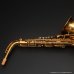 画像18: A.SELMER　Super Balanced Action　Alto Sax　Serial No：36XXX　【Vintage】 (18)