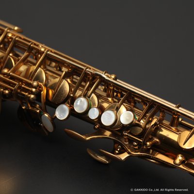 画像32: A.SELMER　Super Balanced Action　Alto Sax　Serial No：36XXX　【Vintage】