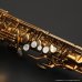 画像32: A.SELMER　Super Balanced Action　Alto Sax　Serial No：36XXX　【Vintage】 (32)