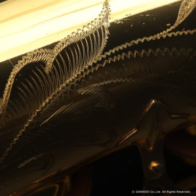 画像28: A.SELMER　Mark VI　Tenor Sax　Serial No：182XXX　【Vintage】