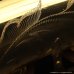 画像28: A.SELMER　Mark VI　Tenor Sax　Serial No：182XXX　【Vintage】 (28)