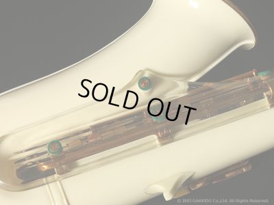 画像13: Grafton　Acrylic Plastic　Alto Sax　Serial No：10XXX　【Vintage】