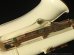 画像13: Grafton　Acrylic Plastic　Alto Sax　Serial No：10XXX　【Vintage】