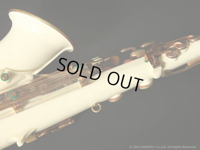 画像14: Grafton　Acrylic Plastic　Alto Sax　Serial No：10XXX　【Vintage】