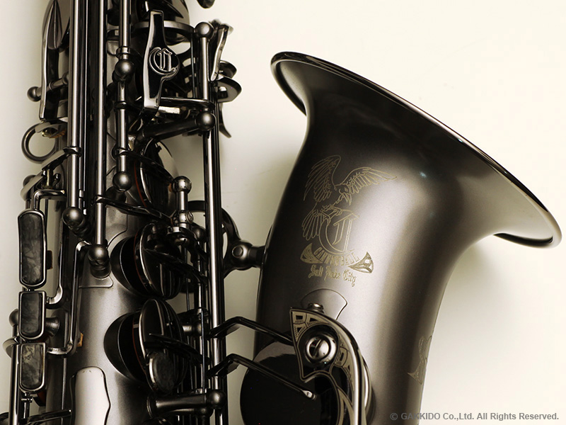 Cannonball Big bell stone series A5-BiceB RAVEN Alto Sax Serial No